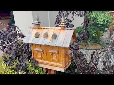 Relacja z Pasieki Sieńko